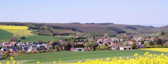 Ortsgemeinde Nieder-Wiesen im Frühling
