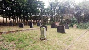 Neuerer Teil des jüdischen Friedhof`s, rechte Seite 